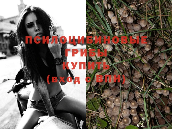 бутират Баксан