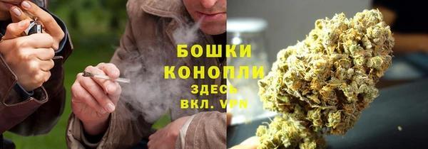 прущие крисы Балабаново